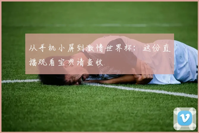 从手机小屏到激情世界杯：这份直播观看宝典请查收